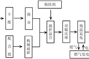 叢生真蘚的組織培養繁殖方法