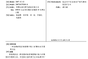 聯動式跳汰篩選礦機