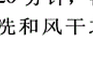 頂板圍巖二級瓦斯抽放系統