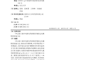 黑棕陶瓷色料、黑棕陶瓷墨水及其制備方法和應用