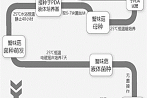 新型高效除磷劑的生產方法