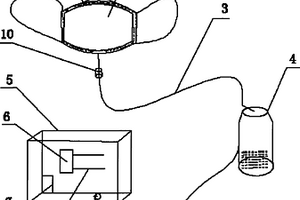 既成膜又滲透的防水材料及其制備方法和應用