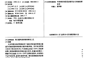 正十二面體球磨機研磨體