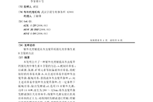 提升道筋的球磨機格子板及其安裝方法