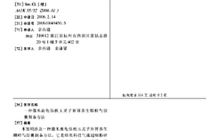 用于銅精礦提質降雜的磨礦方法
