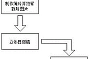 新型耐溫抗鹽聚丙烯酰胺及其合成方法