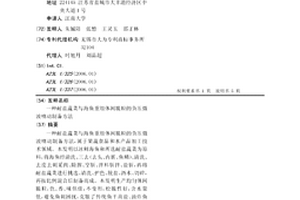 鉬選廠一段磨礦系統用渣漿泵