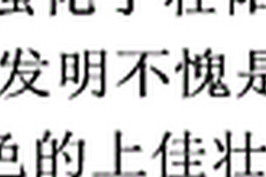 鈦白粉、鈦白粉生產工藝及鈦白粉生產中的粉磨工藝