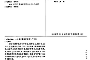 環保水煤漿及其制備方法