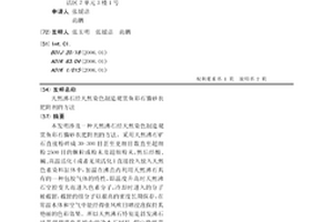 輕質鎂橄欖石耐火骨料及其制備方法
