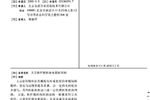 用于鋅揮發窯窯渣干法磁選回收鐵、炭的工藝