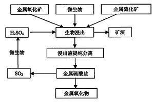 富硒茶葉專用肥及其應用