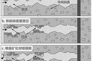 切割片式掘進機截割裝置