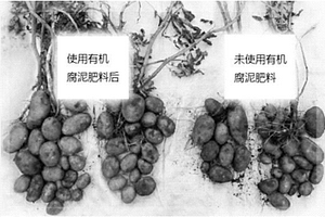 培養基及其制備方法、微生物材料及其用途和制備方法