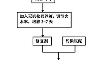 具有環境消磁功能的折光芳香族聚碳酸酯復合墻紙