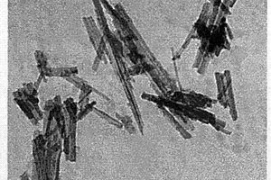 濾池式膜生物反應器