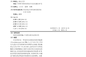 塑膠卷材簡易鋪裝方法