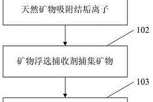 紫外光照射提高靈芝鈣強化劑中維生素D含量的方法