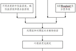富硒營養活力素及其制備方法、應用