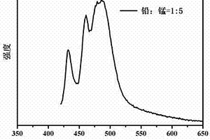 碎軟低透突出煤層以孔代巷快速抽采瓦斯達標的技術方法