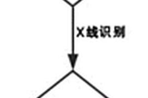 用于肉代用品生產的方法和裝置