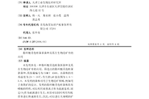 石煤提釩焙燒工藝