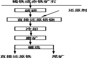 褐鐵和赤鐵礦石直接還原焙燒生產還原鐵用的還原劑