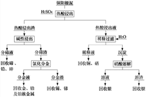 銅陽極泥的全濕法預處理方法