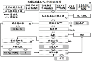 用于萃取貴元素、賤元素和稀有元素的處理工藝