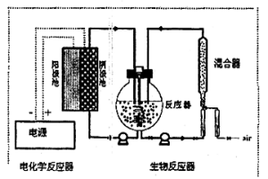 硫化礦浸礦菌生長的高效電化學培養方法及裝置