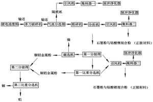 廢鋰電池處理系統