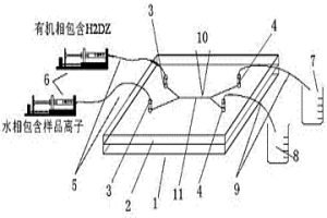能直接顯示結果的微流體快速萃取裝置