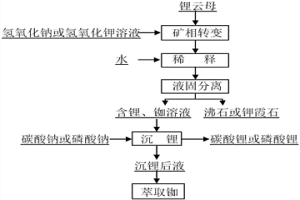 從鋰云母礦中提取鋰、銣并副產沸石或鉀霞石的方法