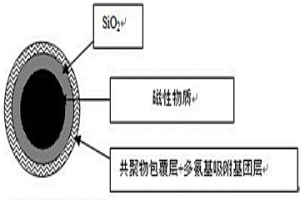 磁性固體多氨基吸附劑顆粒材料、制備方法及其應用
