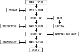 通過聯合浸出工藝從紅土鎳礦中回收鎳、鈷、鐵和硅的方法
