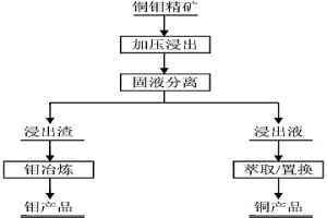 復雜銅鉬礦的處理方法