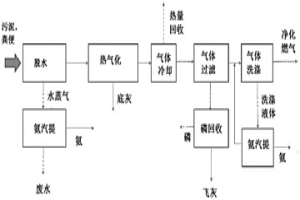 來自污水污泥和動物糞便的營養物和能量回收