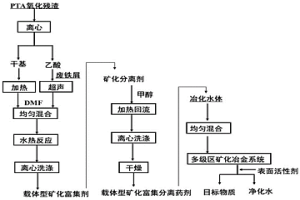 載體型礦化富集分離藥劑及其制備方法和應用