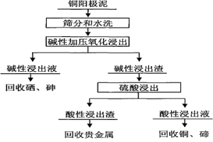 銅陽極泥的預處理方法