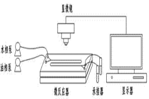 萃取分離In和Fe、Zn的微流體萃取方法