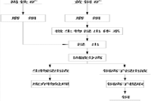 利用晶種誘導除鐵促進黃銅礦生物浸出的方法