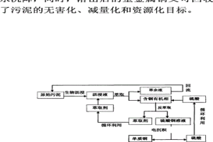 污泥中重金屬銅的生物瀝浸-溶劑萃取-電積回收方法