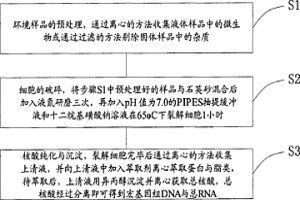 礦區環境樣品微生物基因組DNA與總RNA同時提取的方法