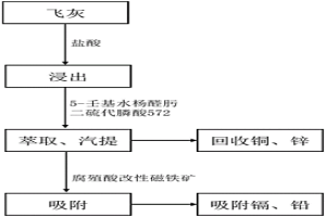 利用磁鐵礦修飾物處理固體廢物焚燒飛灰中重金屬的方法