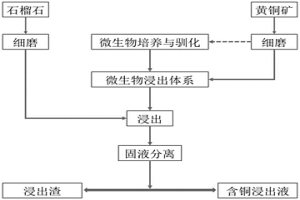 利用石榴石促進黃銅礦微生物浸出的方法