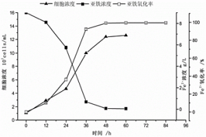 嗜酸铁氧化微生物复合菌剂及其制备方法