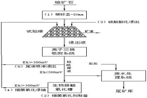 碳硅泥巖型鈾礦石細菌浸鈾方法