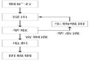 用于萃余液處理的微生物菌劑制備技術與應用