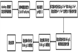 基于鐵硫代謝調控促進黃銅礦生物浸出的方法