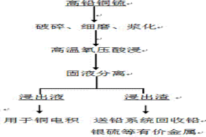 鉛銅锍氧壓酸浸過程中直接除鐵的方法